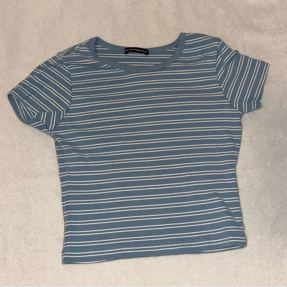 Brandy Melville Blue Fitted Ribbed Tee
